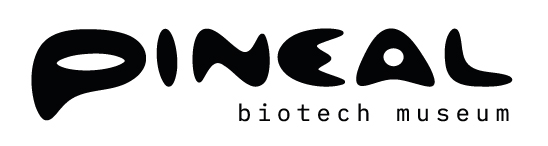 Pineal Museum